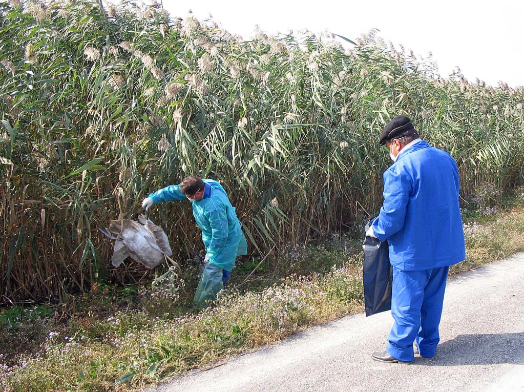 美国签证_美国时间_美国