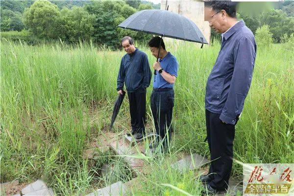 白银价格_白银现货交易_白银